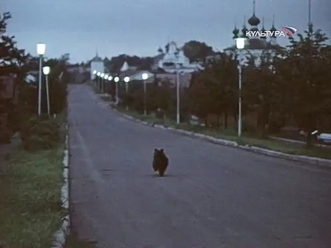 Дрессировщики. На улицах Суздаля
